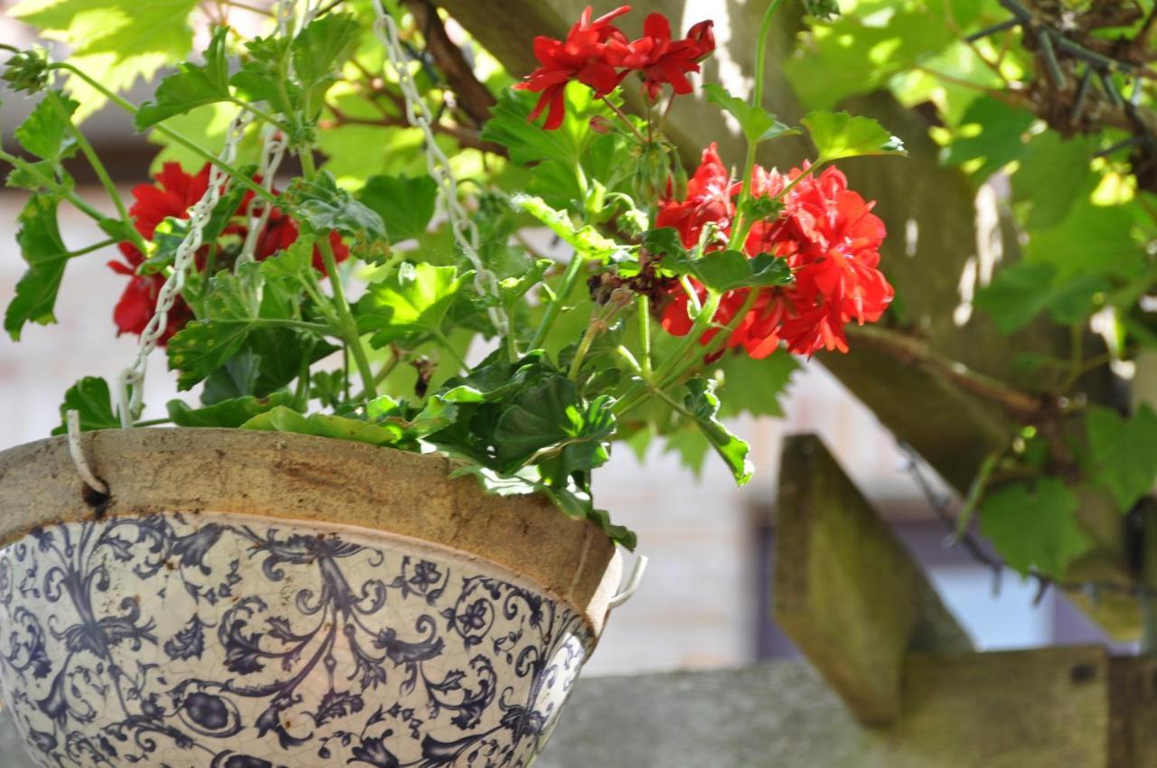 Bed & Breakfast Bella En Basiel Brugge